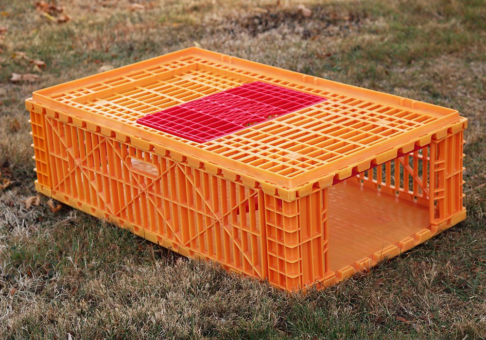 Fast-fill Gamebird Coop - Image 2