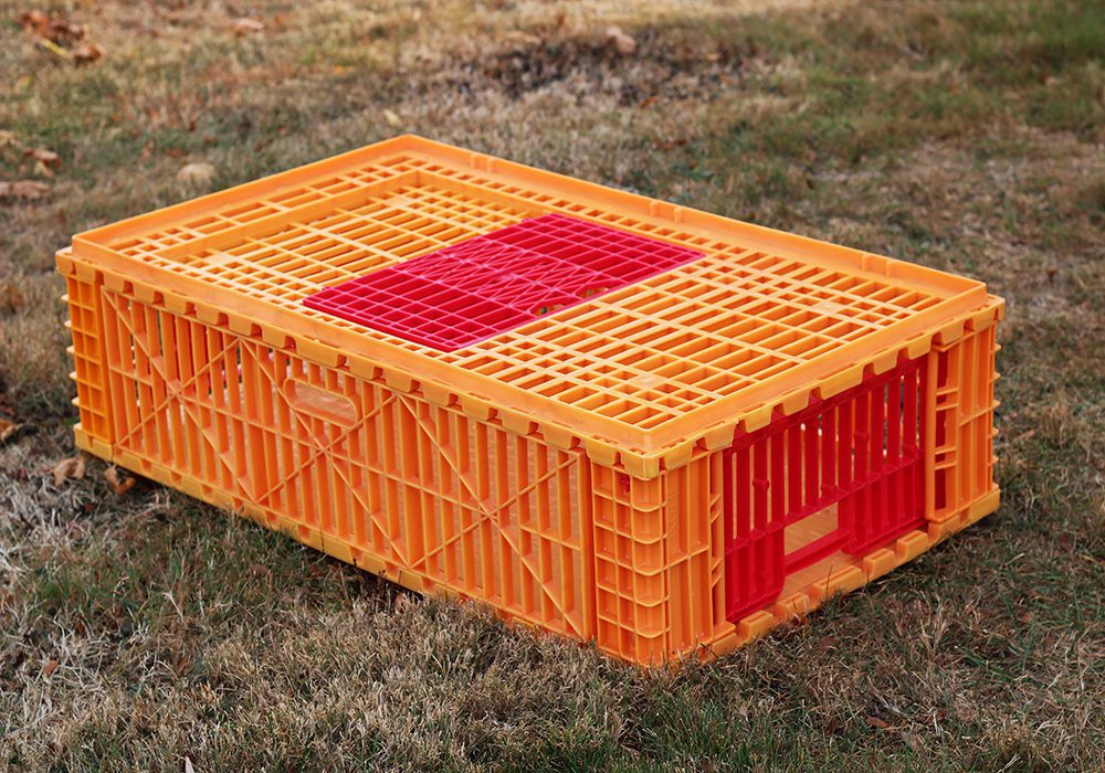 Fast-fill Gamebird Coop - Image 3