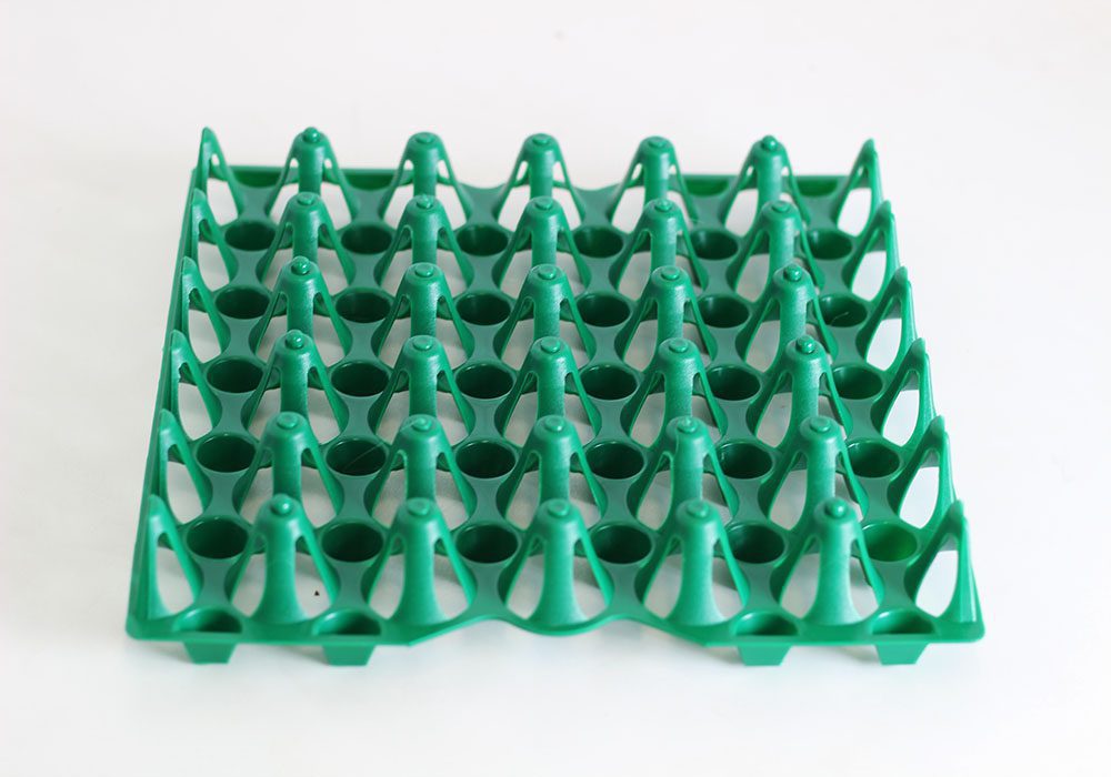 Special Formula Stiff Tray - Image 3