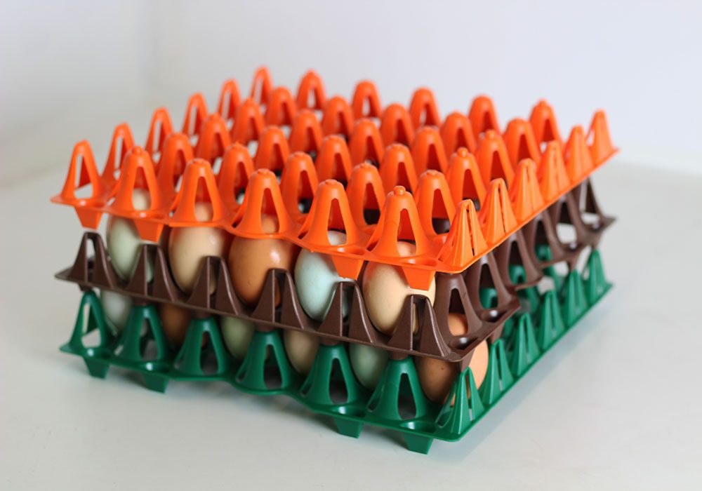 Special Formula Stiff Tray - Image 6