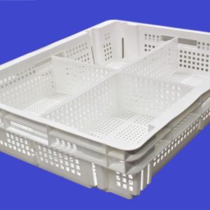 Plastic Chick Box w/ Removable Partitions